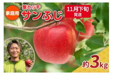 【2025年11月下旬発送】りんご 3kg 程度 葉とらず サンふじ 11月 12月 家庭用 青森産 りんご ふじ 【 サンふじりんご 葉とらずりんご リンゴジュースやお菓子作りにも くだものフルーツ果物林檎約5kg 】