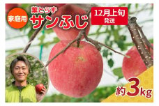 【2025年12月上旬発送】りんご 3kg 程度 葉とらず サンふじ 11月 12月 家庭用 青森産 りんご ふじ 【 サンふじりんご 葉とらずりんご リンゴジュースやお菓子作りにも くだものフルーツ果物林檎約5kg 】