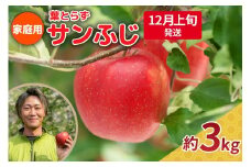 【2025年12月上旬発送】りんご 3kg 程度 葉とらず サンふじ 11月 12月 家庭用 青森産 りんご ふじ 【 サンふじりんご 葉とらずりんご リンゴジュースやお菓子作りにも くだものフルーツ果物林檎約5kg 】