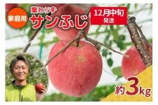 【2025年12月中旬発送】りんご 3kg 程度 葉とらず サンふじ 11月 12月 家庭用 青森産 りんご ふじ 【 サンふじりんご 葉とらずりんご リンゴジュースやお菓子作りにも くだものフルーツ果物林檎約5kg 】
