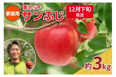 【2025年12月下旬発送】りんご 3kg 程度 葉とらず サンふじ 11月 12月 家庭用 青森産 りんご ふじ 【 サンふじりんご 葉とらずりんご リンゴジュースやお菓子作りにも くだものフルーツ果物林檎約5kg 】