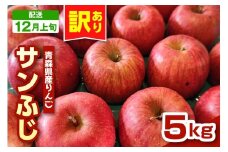 【2025年12月上旬発送】りんご　青森 サンふじ 5kg 程度 《 訳あり 》 農家直送 サンフジ 青森県 五所川原市 傷 キズ ワケアリ 林檎 リンゴ apple