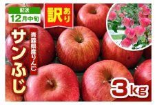 【2025年12月中旬発送】りんご　青森 サンふじ 3kg 程度 《 訳あり 》 農家直送 サンフジ 青森県五所川原市 傷 キズ ワケアリ 林檎 リンゴ apple
