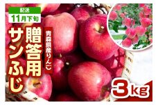 【2025年11月下旬発送】りんご　青森 サンふじ 3kg 程度 《 贈答用 》 農家直送 サンフジ 青森県 五所川原市 贈答 プレゼント 贈り物 林檎 リンゴ apple
