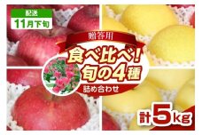 【2025年11月下旬発送】りんご　青森 食べ比べ 4品種<ふじ サンふじ 王林 金星> 5kg 程度 贈答用 青森 農家直送  サンフジ 青森県 五所川原市 贈答 セット 詰め合わせ 林檎 リンゴ apple