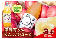 【2025年11月より順次発送】りんごジュース 「津軽育ちのりんごジュース」 100％ ストレート果汁 1L× 3本【 青森県 五所川原市 】 青森 りんご ストレートりんごジュース リンゴジュース りんご リンゴ 林檎 ジュース 果汁飲料 ストレート 果汁