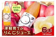 【2025年11月より順次発送】りんごジュース 「津軽育ちのりんごジュース」 100％ ストレート果汁 1L× 6本【 青森県 五所川原市 】 青森 りんご ストレートりんごジュース リンゴジュース りんご リンゴ 林檎 ジュース 果汁飲料 ストレート 果汁