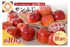 【先行受付】【2026年2月後半発送】 【訳あり】 りんご 約10kg サンふじ 青森産