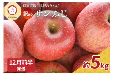 【2025年12月前半発送】 訳あり  りんご サンふじ 約 5kg 青森  果物  【 訳アリ リンゴ 林檎 ふじ さんふじ 】