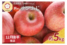 【2025年12月後半発送】 訳あり  りんご サンふじ 約 5kg 青森  果物  【 訳アリ リンゴ 林檎 ふじ さんふじ 】