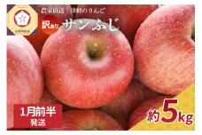 【2026年1月前半発送】 訳あり りんご サンふじ 約 5kg 青森 果物 【 訳アリ リンゴ 林檎 ふじ さんふじ 】