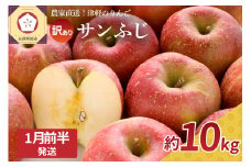 【2026年1月前半】 訳あり りんご サンふじ 約 10kg 青森 果物 【 訳アリ リンゴ 林檎 ふじ さんふじ 】