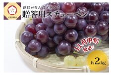 【2025年11月中旬発送】 青森ぶどう 贈答用 スチューベン 約2kg 化粧箱入