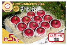 【2025年12月上旬発送】 【贈答用】 りんご サンふじ 5kg 青森