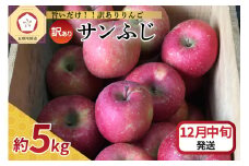 【2025年12月中旬発送】 【訳あり】 りんご サンふじ 5kg 青森