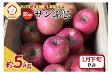 【2026年1月下旬発送】 【訳あり】 りんご サンふじ 5kg 青森