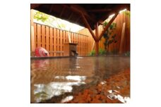 ＜奥入瀬渓流温泉:1泊2食付ペア宿泊＞野の花　焼山荘[禁煙・和室]【1026420】