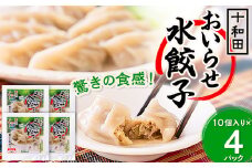 驚きの食感!十和田おいらせ水餃子【1027373】