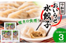 驚きの食感!十和田おいらせ水餃子　1パック(10個入り)×3【1033464】