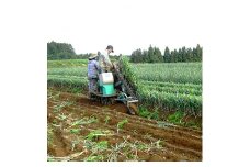 農業体験　1日コース(9:00～16:00)食事体験付き(1名様分)【1047576】
