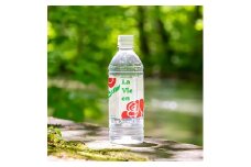 天然シリカ水ラビアン　500ml×24本(1箱)【1114848】