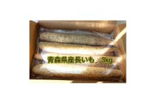 ＜十和田自慢＞青森県十和田市の逸品!　　長いも3kg入り(2本～4本入り)【1275355】