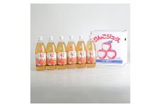 ＜青森県十和田市＞深持りんごジュース6本入り5B《ふじ・王林・北斗・ジョナゴールド・シナノゴールド》【1076248】