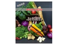 北緯40度からの贈り物　十和田のとれたて野菜のベジタブルボックス(18種入)【1278980】