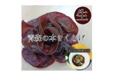 僕、実はキノコなんです。青森の本きくらげ～300g×2パック(合計600g)入～【1323548】