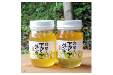 ＜青森県十和田市産＞アカシア蜂蜜550g　2本セット【1351650】