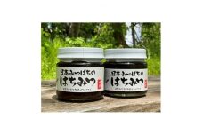 ＜青森県十和田市産＞日本みつばち蜂蜜150g　2本セット【1414006】