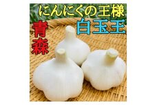 ＜月1000箱即完売＞青森産「にんにくの王様白玉王」5玉(テレビ1泊家族で紹介されました)【1472501】
