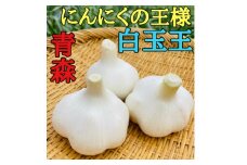 ＜月1000箱即完売＞青森産「にんにくの王様白玉王」10玉(テレビ1泊家族で紹介されました)【1506154】