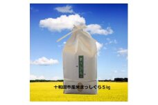 ＜令和6年産＞十和田市産米「まっしぐら」精米　5kg【1568532】