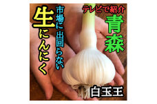 青森生にんにく12玉★年に1度、収穫時期しか食べられない逸品です★【1619309】