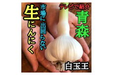 青森生にんにく20玉★年に1度、収穫時期しか食べられない逸品です★【1619319】