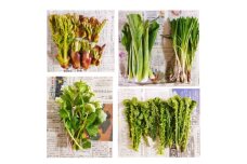 ＜母からの仕送り＞青森県十和田市産 山菜セット[2～5種類(種類おまかせ)]　1箱【1597928】