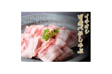 燦然　豚バラしゃぶしゃぶ　1800g(180g×10パック)【1625149】