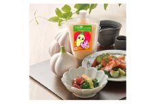 ニンニク塩麹ノンオイルドレッシング＜パウチ＞　3個【1629042】