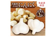 青森県三沢市 令和7年産　にんにく　1kg(生産者直送)【1066993】