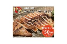 ＜特大＞赤とんぼ一夜干し1枚入れ　2セット【1292626】