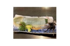 いか刺し　青森県三沢産　赤とんぼ　約100g×3枚(計約300g)【1357347】