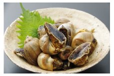 陸奥湾産　アワビつぶ(おでんつぶ)