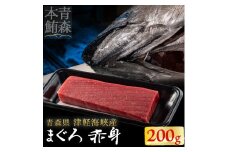 ＜引き締まった旨味＞津軽海峡産まぐろ(赤身200g)【1047537】