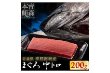 ＜引き締まった旨味＞津軽海峡産まぐろ(中トロ200g)【1047538】