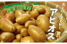 スーパーフード 糖度30度あま～いアピオス(生) 1kg