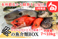【2月発送開始】おさかなマイスター厳選　冬の魚介類BOX　(M)