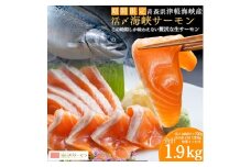 【期間限定発送】活〆海峡サーモン　お刺身さくと生切身A(冷蔵)　特製漬タレ付