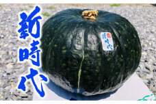 「新時代」かぼちゃ