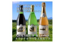 サンマモルワイナリー　海自オリジナルラベルワイン３本セット